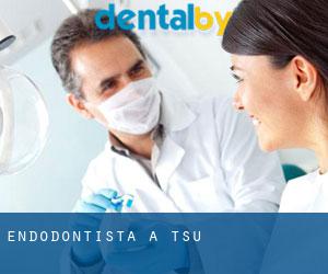 Endodontista a Tsu