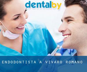 Endodontista a Vivaro Romano