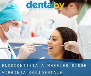 Endodontista a Wheeler Ridge (Virginia Occidentale)