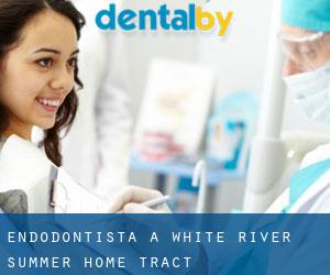 Endodontista a White River Summer Home Tract
