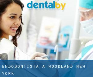 Endodontista a Woodland (New York)