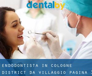 Endodontista in Cologne District da villaggio - pagina 3