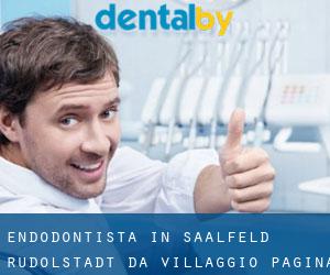 Endodontista in Saalfeld-Rudolstadt da villaggio - pagina 1