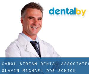 Carol Stream Dental Associates: Slavin Michael DDS (Schick)