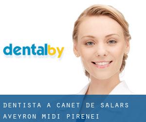 dentista a Canet-de-Salars (Aveyron, Midi-Pirenei)