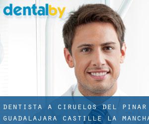 dentista a Ciruelos del Pinar (Guadalajara, Castille-La Mancha)