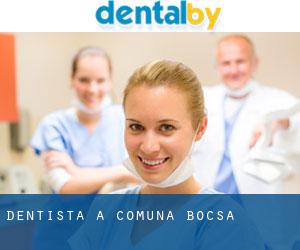 dentista a Comuna Bocşa