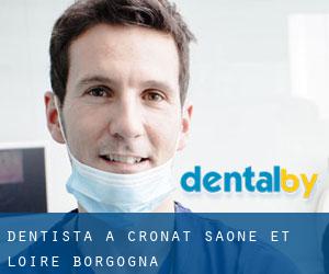 dentista a Cronat (Saône-et-Loire, Borgogna)