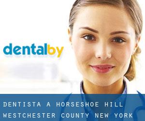 dentista a Horseshoe Hill (Westchester County, New York)