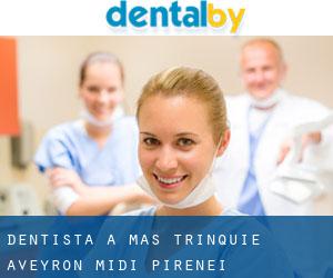 dentista a Mas Trinquié (Aveyron, Midi-Pirenei)