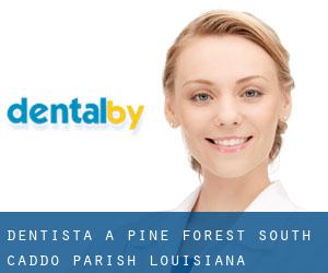 dentista a Pine Forest South (Caddo Parish, Louisiana)