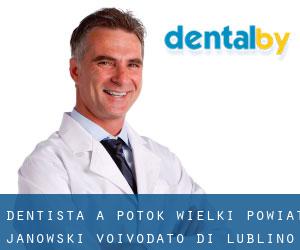 dentista a Potok Wielki (Powiat janowski, Voivodato di Lublino)