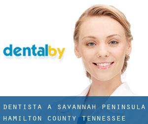 dentista a Savannah Peninsula (Hamilton County, Tennessee)