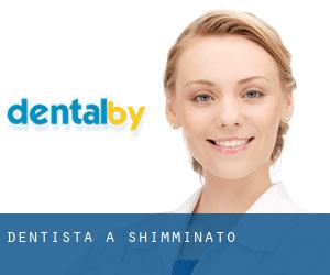 dentista a Shimminato