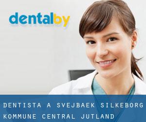 dentista a Svejbæk (Silkeborg Kommune, Central Jutland)