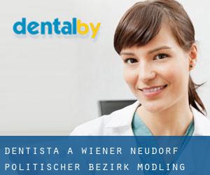 dentista a Wiener Neudorf (Politischer Bezirk Mödling, Bassa Austria)