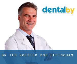 Dr. Ted Koester, DMD (Effingham)