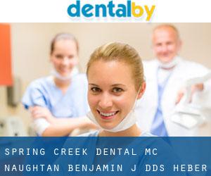 Spring Creek Dental: Mc Naughtan Benjamin J DDS (Heber)