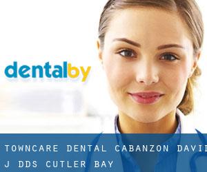 Towncare Dental: Cabanzon David J DDS (Cutler Bay)